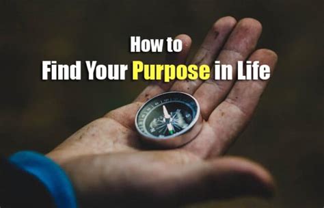  Zipping Through Life: A Guide to Finding Your Purpose -  비전을 향한 재미있는 여정과 깊은 성찰을 선사하는 책